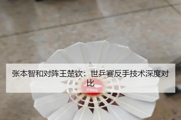 张本智和对阵王楚钦：世乒赛反手技术深度对比（Qiusu）